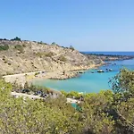 Nissi Adamite