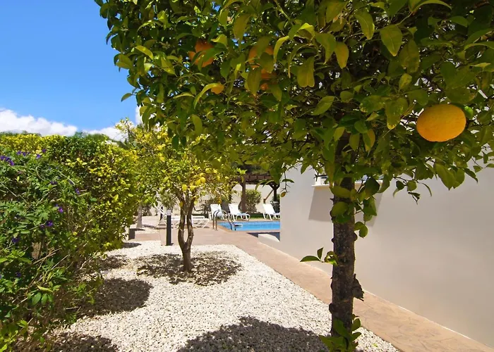 Villa Nissi Adamite Ayía Nápa