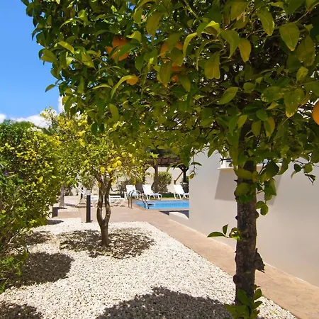 Villa Nissi Adamite Agia Napa